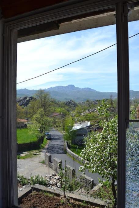Una Apartment Cetinje Exteriér fotografie