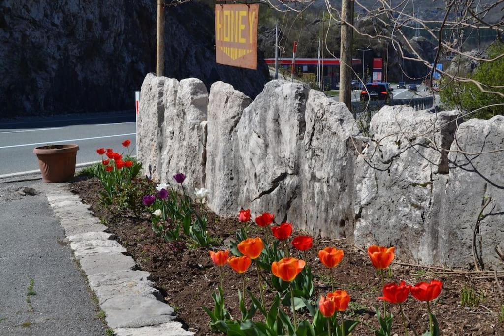 Una Apartment Cetinje Exteriér fotografie